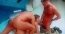 


Name
  Thumbnail  Added
  Type
  # Items
  Gallery Location
  


Assfucking Heidi
    December 12th, 2013
  Videos
  7
  http://galleries.herzogvideos.com/Club_Der_Arschficker/Sc4_Vid002/?nats=NTc2OS4xLjExNy4yMzAuMC4yNjc4Ny4wLjAuMA
  Link




